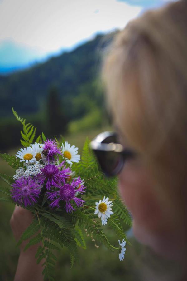 Pensiunea Viorica ฟุนดูโมลโดเว ภายนอก รูปภาพ